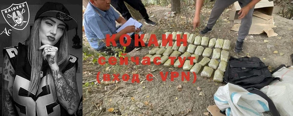 крисы Наволоки