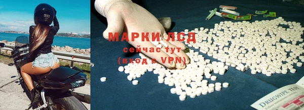 крисы Наволоки