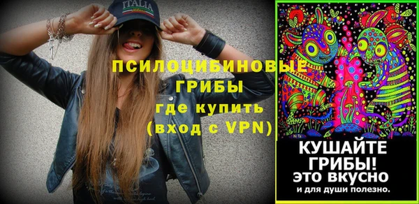 крисы Наволоки
