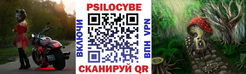 Псилоцибиновые грибы прущие грибы  дарнет шоп  Ставрополь 