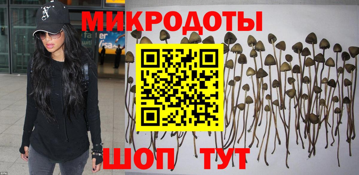 закладка  Галлюциногенные грибы ЛСД  Вход с VPN  Галлюциногенные грибы прущие грибы  Ставрополь 